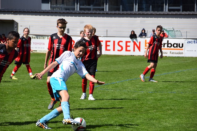 作为球迷的 作为球迷的