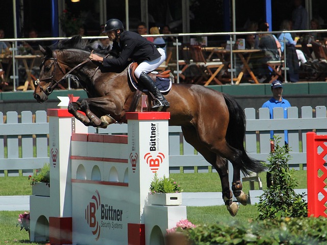 跑步目标不 跑步目标不