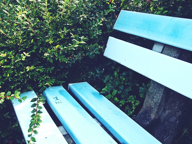 我们期待看 我们期待看